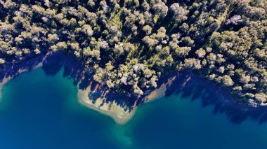 Rio Negro Arjantin, Bariloche 'deki Patagonya Ormanı. Kar Tepeli Dağ. Chico Circuit. Bariloche Arjantin. Kış Yolculuğu. Rio Negro Arjantin Bariloche 'deki Patagonya Ormanı.