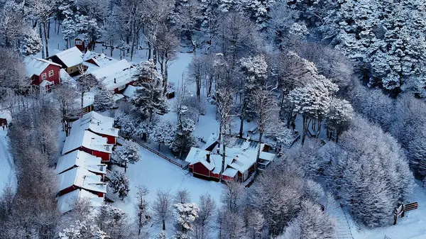 stock image Patagonia Forest At Ushuaia In Tierra Del Fuego Argentina. Winter Landscape. Outdoor Scenery. Snow Capped Forest. Patagonia Forest At Ushuaia In Tierra Del Fuego Argentina.