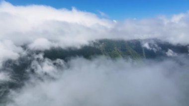Santa Catarina Brezilya 'daki Praia Grande' deki Güney Kanyonları. Güzellik Uçurumları. Yeşil Vadi Sahnesi. Canyons Manzarası. Santa Catarina Brezilya 'daki Praia Grande' deki Güney Kanyonları. Ekolojik Dağ Sırası.
