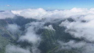 Santa Catarina Brezilya 'daki Praia Grande' de Manzaralı Kanyonlar. Güzellik Uçurumları Sahnesi. Geopark Sahnesi. Canyons Arkaplanı. Santa Catarina Brezilya 'daki Praia Grande' de Manzaralı Kanyonlar. Doğa Manzarası.