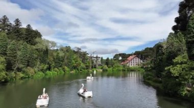 Gramado Brezilya. Rio Grande Do Sul Brezilya 'daki Gramado' da Lago Negro. Bahçe arazisi. Turistik cazibe. Şehir Parkı. Rio Grande Do Sul Brezilya 'daki Gramado' da Lago Negro. Orman Ağaçları Sahnesi.