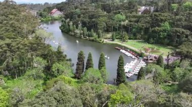 Gramado Brezilya. Rio Grande Do Sul Brezilya 'daki Gramado' da Lago Negro. Bahçe arazisi. Turistik cazibe. Şehir Parkı. Rio Grande Do Sul Brezilya 'daki Gramado' da Lago Negro. Orman Ağaçları Sahnesi.