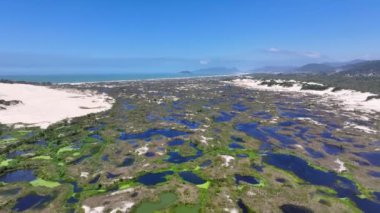 Joaquina Dune, Florianopolis, Santa Catarina Brezilya 'da. Yağmur suyu gölleri. Kum tepeleri. Doğa cenneti. Joaquina Dune, Florianopolis, Santa Catarina Brezilya 'da. Plaj manzarası.