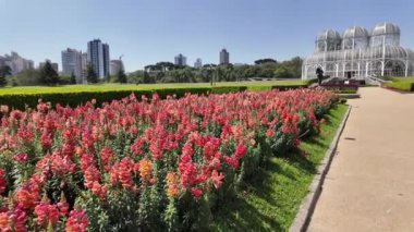 Curitiba Brezilya. Parana Brezilya 'daki Curitiba Botanik Bahçesi. Botanik manzarası. Turizm Seyahati. Doğa Parkı. Parana Brezilya 'daki Curitiba Botanik Bahçesi. Çiçek Manzarası.