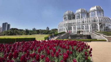 Curitiba Brezilya. Parana Brezilya 'daki Curitiba Botanik Bahçesi. Botanik manzarası. Turizm Seyahati. Doğa Parkı. Parana Brezilya 'daki Curitiba Botanik Bahçesi. Çiçek Manzarası.