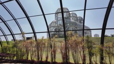 Curitiba Brezilya. Parana Brezilya 'daki Curitiba Botanik Bahçesi. Botanik manzarası. Turizm Seyahati. Doğa Parkı. Parana Brezilya 'daki Curitiba Botanik Bahçesi. Çiçek Manzarası.