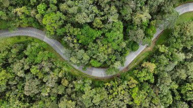 Brezilya 'dan daha fazla. Estrada da Graciosa Parana Brezilya 'da Morretes' te. Tarihi Yol 'da. Dolambaçlı Peyzaj. Seyahat güzergahı. Estrada da Graciosa Parana Brezilya 'da Morretes' te. Tatil Turizmi.