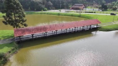 Curitiba Brezilya. Parana Brezilya Curitiba 'daki Tingui Parkı. State Park Peyzajı. Turizm Seyahati. Doğa Parkı. Parana Brezilya Curitiba 'daki Tingui Parkı. Botanik Manzarası.