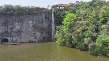 Curitiba Brezilya. Parana Brezilya Curitiba 'daki Tangua Parkı. Bahçe arazisi. Turistik cazibe. Şehir Parkı. Parana Brezilya Curitiba 'daki Tangua Parkı. Orman Ağaçları Sahnesi.