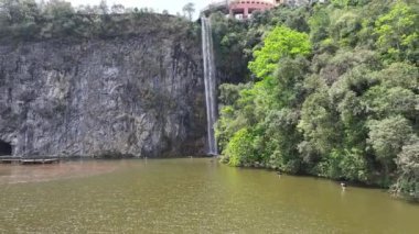 Curitiba Parana. Parana Brezilya Curitiba 'daki Tangua Parkı. State Park Peyzajı. Turizm Seyahati. Doğa Parkı. Parana Brezilya Curitiba 'daki Tangua Parkı. Botanik Manzarası.