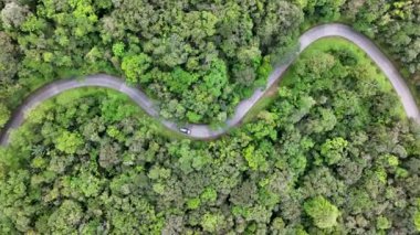 Curitiba Brezilya. Parana Brezilya Curitiba 'daki Graciosa Yolu. Viraj Yolu. Manzara Kavisleri. Tarihi Yol Gezisi. Parana Brezilya Curitiba 'daki Graciosa Yolu. Seyahat Hedefi.