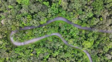 Morretes Parana. Estrada da Graciosa Parana Brezilya 'da Morretes' te. Tarihi Yol 'da. Dolambaçlı Peyzaj. Seyahat güzergahı. Estrada da Graciosa Parana Brezilya 'da Morretes' te. Tatil Turizmi.