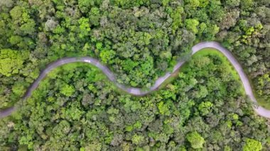 Brezilya 'dan daha fazla. Estrada da Graciosa Parana Brezilya 'da Morretes' te. Tarihi Yol 'da. Dolambaçlı Peyzaj. Seyahat güzergahı. Estrada da Graciosa Parana Brezilya 'da Morretes' te. Tatil Turizmi.