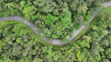 Brezilya 'dan daha fazla. Estrada da Graciosa Parana Brezilya 'da Morretes' te. Tarihi Yol 'da. Dolambaçlı Peyzaj. Seyahat güzergahı. Estrada da Graciosa Parana Brezilya 'da Morretes' te. Tatil Turizmi.