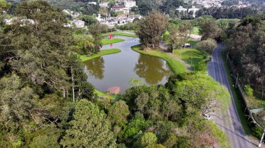 Curitiba Brezilya. Parana Brezilya Curitiba 'daki Tingui Parkı. State Park Peyzajı. Turizm Seyahati. Doğa Parkı. Parana Brezilya Curitiba 'daki Tingui Parkı. Botanik Manzarası.