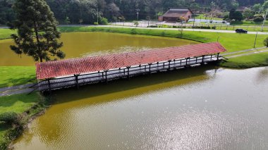 Curitiba Brezilya. Parana Brezilya Curitiba 'daki Tingui Parkı. State Park Peyzajı. Turizm Seyahati. Doğa Parkı. Parana Brezilya Curitiba 'daki Tingui Parkı. Botanik Manzarası.