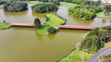 Curitiba Parana. Parana Brezilya Curitiba 'daki Tingui Parkı. Bahçe arazisi. Turistik cazibe. Şehir Parkı. Parana Brezilya Curitiba 'daki Tingui Parkı. Orman Ağaçları Sahnesi.