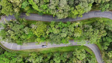 Curitiba Parana. Parana Brezilya Curitiba 'daki Graciosa Yolu. Viraj Yolu. Manzara Kavisleri. Tarihi Yol Gezisi. Parana Brezilya Curitiba 'daki Graciosa Yolu. Seyahat Hedefi.