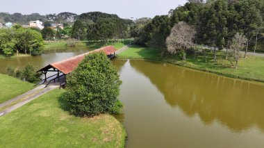 Curitiba Parana. Parana Brezilya Curitiba 'daki Tingui Parkı. Bahçe arazisi. Turistik cazibe. Şehir Parkı. Parana Brezilya Curitiba 'daki Tingui Parkı. Orman Ağaçları Sahnesi.