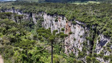 Itaimbezinho Kanyonu Rio Grande Do Sul Brezilya 'daki Cambara Do Sul' da. Güzellik Uçurumları Sahnesi. Dağların Tepesi Sahnesi. Canyons Arkaplanı. Itaimbezinho Kanyonu Rio Grande Do Sul Brezilya 'daki Cambara Do Sul' da.