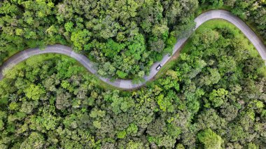 Curitiba Brezilya. Parana Brezilya Curitiba 'daki Graciosa Yolu. Viraj Yolu. Manzara Kavisleri. Tarihi Yol Gezisi. Parana Brezilya Curitiba 'daki Graciosa Yolu. Seyahat Hedefi.