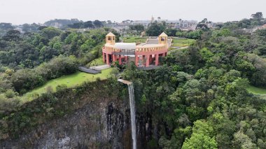 Curitiba Brezilya. Parana Brezilya Curitiba 'daki Tangua Parkı. Bahçe arazisi. Turistik cazibe. Şehir Parkı. Parana Brezilya Curitiba 'daki Tangua Parkı. Orman Ağaçları Sahnesi.