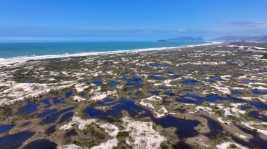 Joaquina Dune At Florianopolis In Santa Catarina Brazil. Sand Dunes. Rainwater Lakes. Beach Landscape. Joaquina Dune At Florianopolis In Santa Catarina Brazil. Nature Paradise. clipart