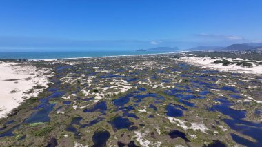 Joaquina Dune, Florianopolis, Santa Catarina Brezilya 'da. Yağmur suyu gölleri. Kum tepeleri. Doğa cenneti. Joaquina Dune, Florianopolis, Santa Catarina Brezilya 'da. Plaj manzarası.