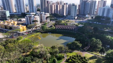 Curitiba Parana. Parana Brezilya 'daki Curitiba Botanik Bahçesi. Botanik manzarası. Turizm Seyahati. Doğa Parkı. Parana Brezilya 'daki Curitiba Botanik Bahçesi. Çiçek Manzarası.