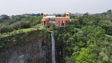 Curitiba Brezilya. Parana Brezilya Curitiba 'daki Tangua Parkı. Bahçe arazisi. Turistik cazibe. Şehir Parkı. Parana Brezilya Curitiba 'daki Tangua Parkı. Orman Ağaçları Sahnesi.