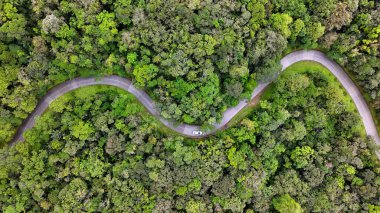 Brezilya 'dan daha fazla. Estrada da Graciosa Parana Brezilya 'da Morretes' te. Tarihi Yol 'da. Dolambaçlı Peyzaj. Seyahat güzergahı. Estrada da Graciosa Parana Brezilya 'da Morretes' te. Tatil Turizmi.