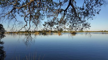Kuzey Rodezya Zambiya 'daki Livingstone' da Zimbabwe Skyline. Dev Şelaleler. Doğa manzarası. Kuzey Rodezya Zambiya 'da Livingstone. Zambezi Nehri. Seyahat Manzarası.