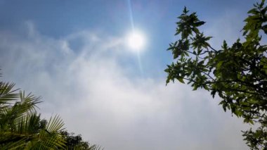 Matabeleland Kuzey Zimbabwe 'deki Victoria Şelalesi' nde şelale spreyi. Doğa Şelalesi. Zambezi Nehri Peyzajı. Kuzey Zimbabwe 'de Victoria Şelalesi. Güney Afrika. Turizm Seyahati.