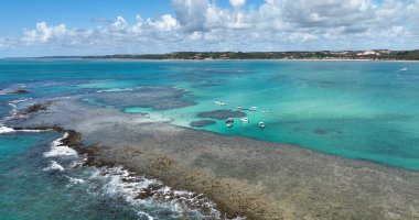 Brezilya 'nın kuzeydoğusunda Alagoas Brezilya' da Japaratinga 'da gökyüzü. Doğa manzarası. Açık hava manzarası. Seyahat güzergahı. Kuzeydoğu Brezilya Skyline Japonya 'da Alagoas Brezilya' da.