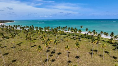 Brezilya 'nın kuzeydoğusunda, Alagoas Brezilya' daki Sao Miguel Dos Milagres 'te Skyline. Doğa manzarası. Tarım Manzarası. Seyahat güzergahı. Kuzeydoğu Brezilya Alagoas Brezilya 'da Skyline.