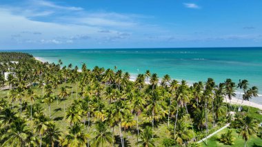 Brezilya 'nın kuzeydoğusunda, Alagoas Brezilya' daki Sao Miguel Dos Milagres 'te Skyline. Doğa manzarası. Tarım Manzarası. Seyahat güzergahı. Kuzeydoğu Brezilya Alagoas Brezilya 'da Skyline.