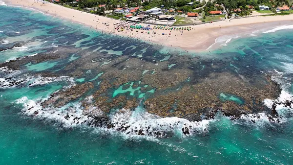 Brezilya 'nın kuzeydoğusundaki Pernambuco Brezilya' daki Tavukların Limanı 'nda Skyline. Doğa manzarası. Paradisiac Manzarası. Seyahat güzergahı. Pernambuco Brezilya 'da Tavukların Limanında Kuzeydoğu Brezilya Skyline.