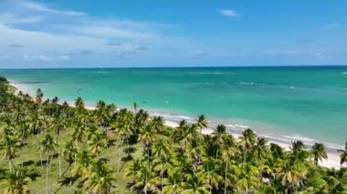 Brezilya 'nın kuzeydoğusunda, Alagoas Brezilya' daki Sao Miguel Dos Milagres 'te Skyline. Doğa manzarası. Tarım Manzarası. Seyahat güzergahı. Kuzeydoğu Brezilya Alagoas Brezilya 'da Skyline.
