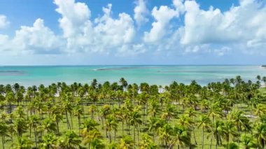 Brezilya 'nın kuzeydoğusunda, Alagoas Brezilya' daki Sao Miguel Dos Milagres 'te Skyline. Doğa manzarası. Tarım Manzarası. Seyahat güzergahı. Kuzeydoğu Brezilya Alagoas Brezilya 'da Skyline.