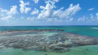 Brezilya 'nın kuzeydoğusunda, Alagoas Brezilya' daki Sao Miguel Dos Milagres 'te Skyline. Doğa manzarası. Paradisiac Manzarası. Seyahat güzergahı. Kuzeydoğu Brezilya Alagoas Brezilya 'da Skyline.