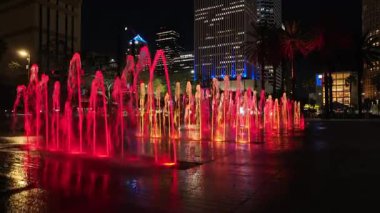 Tampa, Florida 'daki Curtis Hixon rıhtım parkının gece görüşü. Meşhur Gece Manzarası. Çeşme Sahnesi. Curtis Hixon Tampa 'daki Rıhtım Parkı, Amerika Birleşik Devletleri.