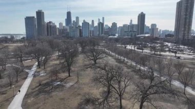 Illinois, Chicago 'daki Lincoln Parkı. Şehir merkezinde. Eğlence Parkı Peyzajı. Illinois 'deki Lincoln Parkı. Metropolitan Bölgesi. Kış Manzarası.