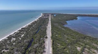 Fort De Soto Park Clearwater, Florida 'da. Doğa Park Peyzajı. Cennet Manzarası. Waterfront Sahil Parkı. Fort De Soto Park Clearwater, Florida, ABD.