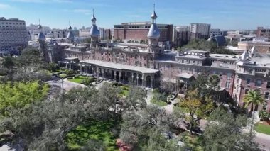 Tampa, Florida 'daki Henry Bitki Müzesi. Şehir merkezindeki şehir manzarası. Tampa Körfezi Arkaplanı. Florida 'daki Henry Bitki Müzesi. High Rise Binaları. İş Bölgesi.