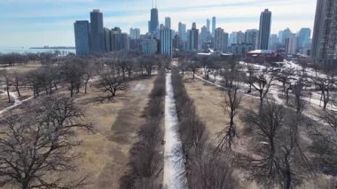 Illinois, Chicago 'daki Lincoln Parkı. Şehir merkezinde. Doğa Parkı Havacılık Manzarası. Illinois 'deki Lincoln Parkı. Highrise Binaları Peyzajı. Çarpıcı Kış Arkaplanı.