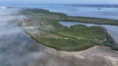 Florida, Clearwater 'daki Caladesi Eyalet Parkı. Doğa Park Peyzajı. Cennet Manzarası. Waterfront Sahil Parkı. Florida 'daki Clearwater' da Caladesi Eyalet Parkı.