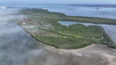 Florida, Clearwater 'daki Caladesi Eyalet Parkı. Doğa Park Peyzajı. Cennet Manzarası. Waterfront Sahil Parkı. Florida 'daki Clearwater' da Caladesi Eyalet Parkı.