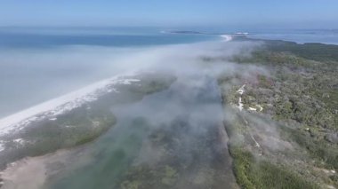 Florida, Clearwater 'daki Caladesi Eyalet Parkı. Plaj manzarası. Eyalet Parkı. Seyahat güzergahı. Florida 'daki Clearwater' da Caladesi Eyalet Parkı.
