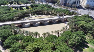 Valence Community İspanya 'da Valencia Skyline' da. Eğlence Parkı Sahnesi. Şehir merkezindeki şehir manzarası. Valence Community İspanya 'da Valencia. Turia Gardens 'ın silüeti. Şehir Sahnesi.