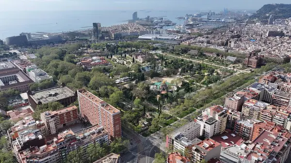 Barcelona Barselona 'daki Ciutadella Parkı, İspanya. Highrise Binaları Sahnesi. Şehir merkezindeki şehir manzarası. Katalonya gökyüzü. Barselona İspanya 'daki Ciutadella Parkı. Bölge Havacılık Manzarası. İspanya Skyline.